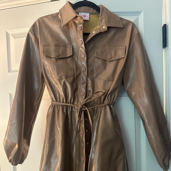 Buddy Love dress- brown pleather button down dress - Picture 1 of 3